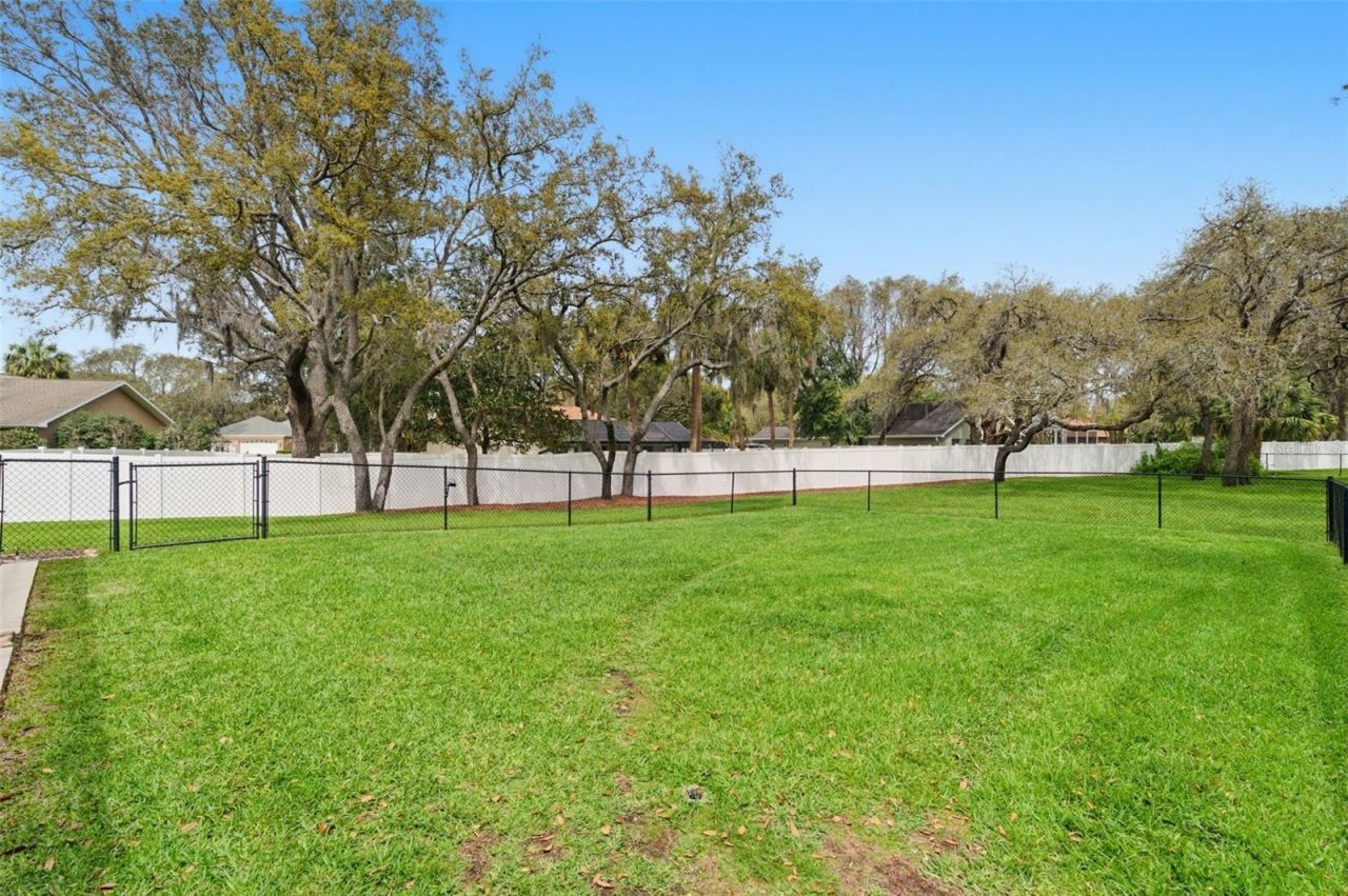 18143 Winding Oaks Boulevard, Hudson, FL 34667 Photo
