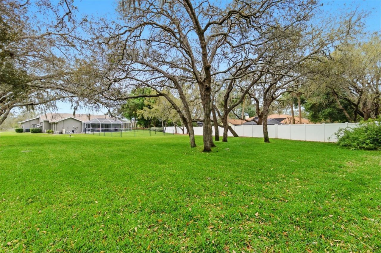 18143 Winding Oaks Boulevard, Hudson, FL 34667 Photo