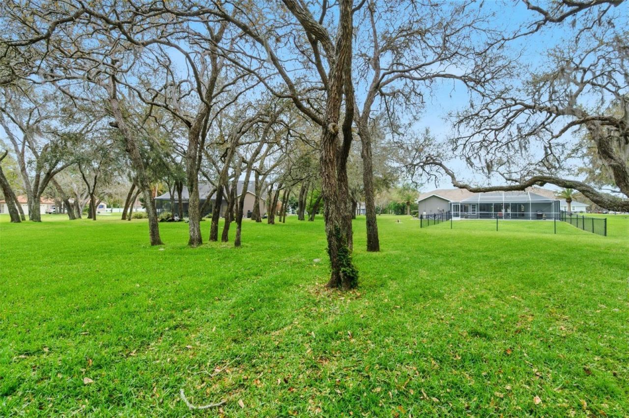 18143 Winding Oaks Boulevard, Hudson, FL 34667 Photo