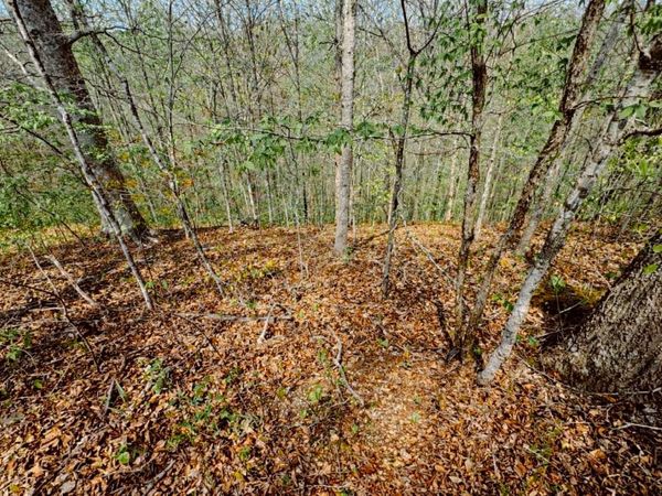 0 Holiday Haven Dr , Smithville, TN 37166