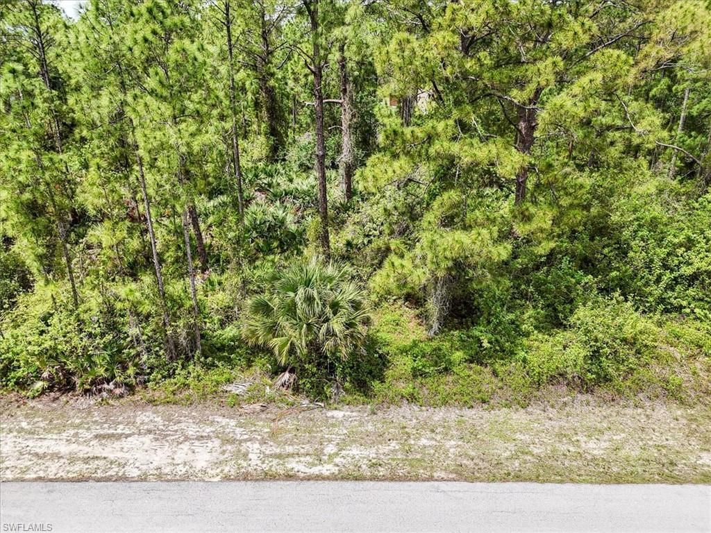 2117 Grayson Ave, Alva, FL 33920 Photo