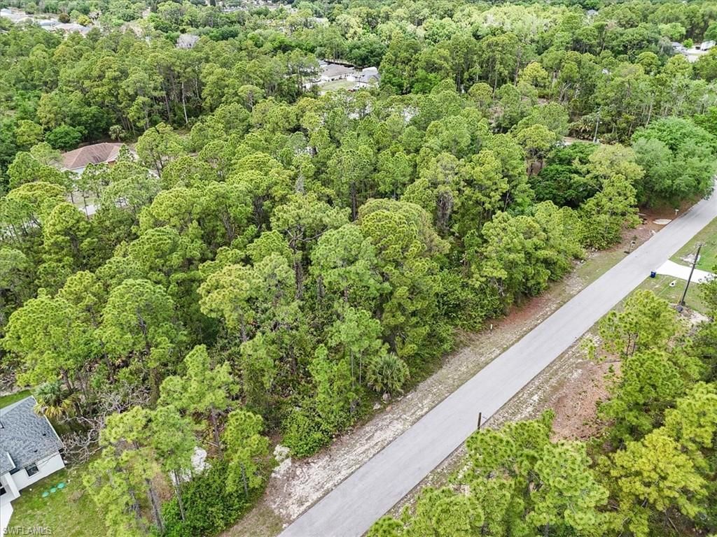 2117 Grayson Ave, Alva, FL 33920 Photo