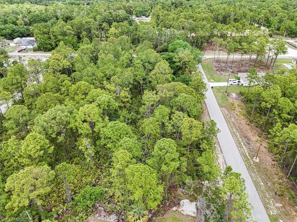 2117 Grayson Ave, Alva, FL 33920 Photo