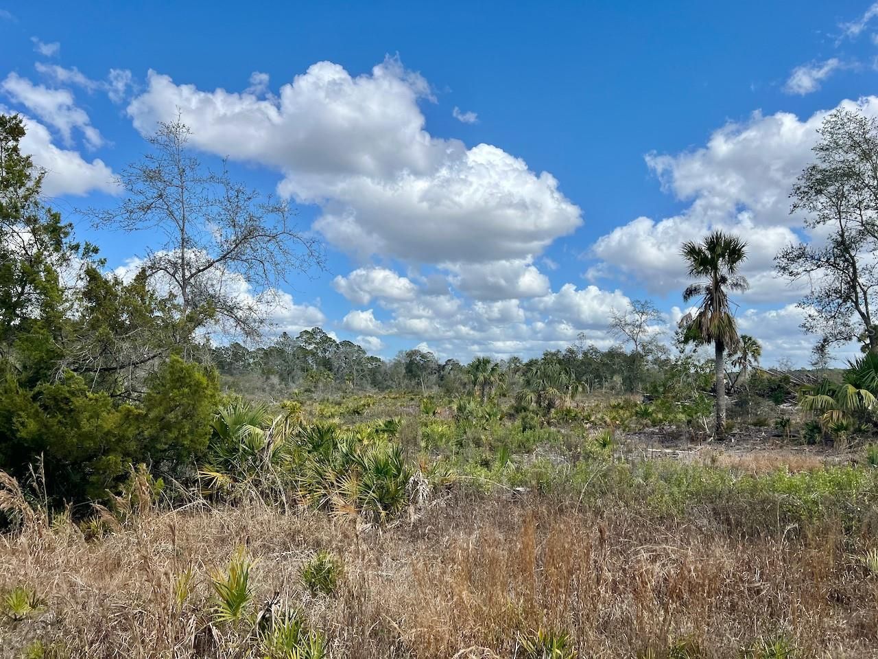 Shiloh Road , Cedar Key, FL 32625 Photo