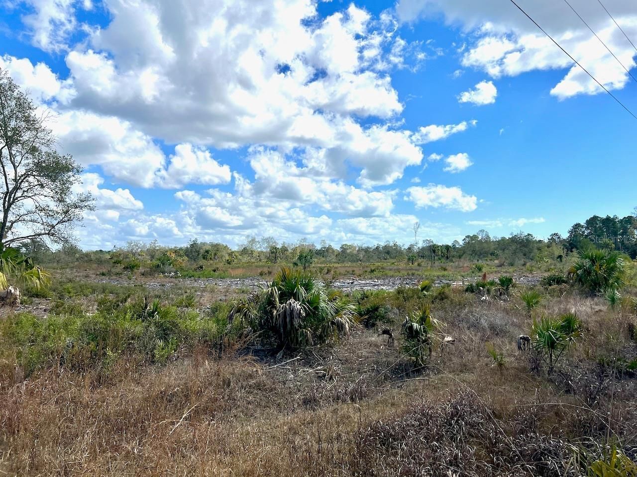Shiloh Road , Cedar Key, FL 32625 Photo