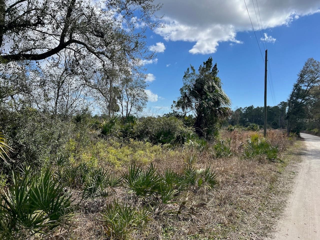 Shiloh Road , Cedar Key, FL 32625 Photo