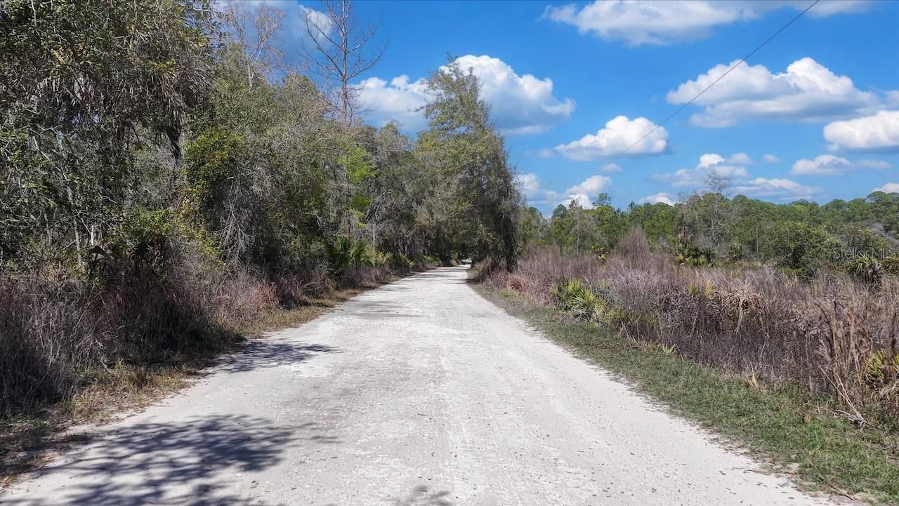 Shiloh Road , Cedar Key, FL 32625 Photo