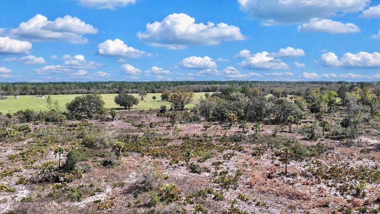 Shiloh Road , Cedar Key, FL 32625 Photo