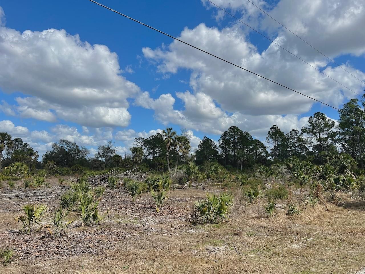 Shiloh Road , Cedar Key, FL 32625 Photo