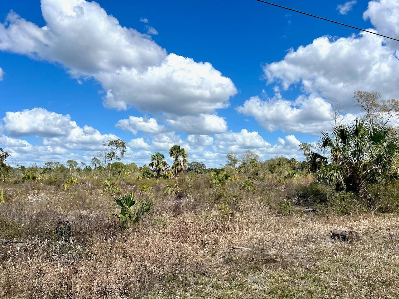 Shiloh Road , Cedar Key, FL 32625 Photo