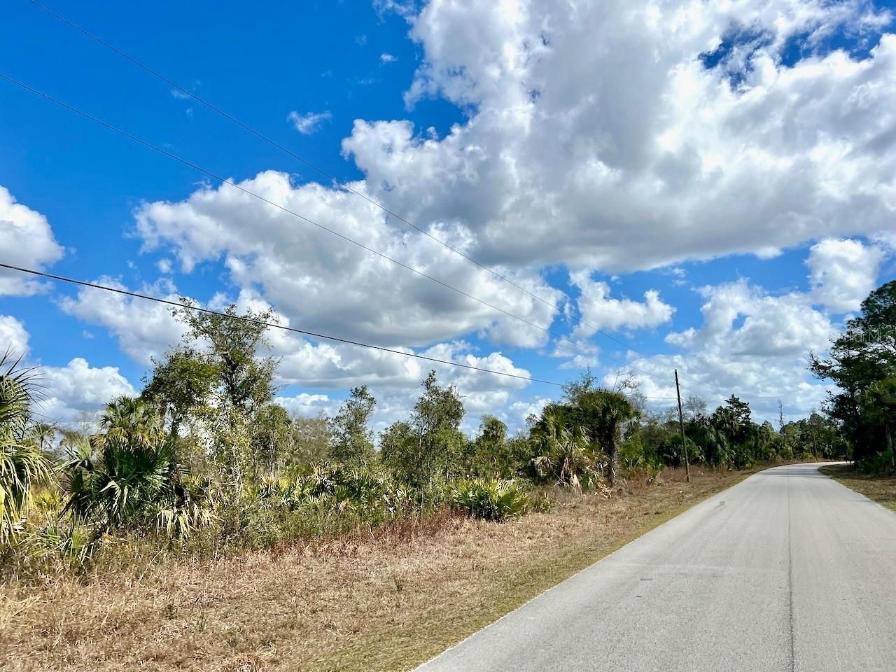 Shiloh Road , Cedar Key, FL 32625 Photo