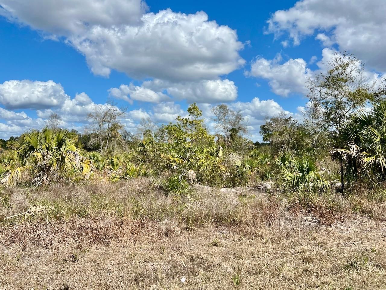 Shiloh Road , Cedar Key, FL 32625 Photo