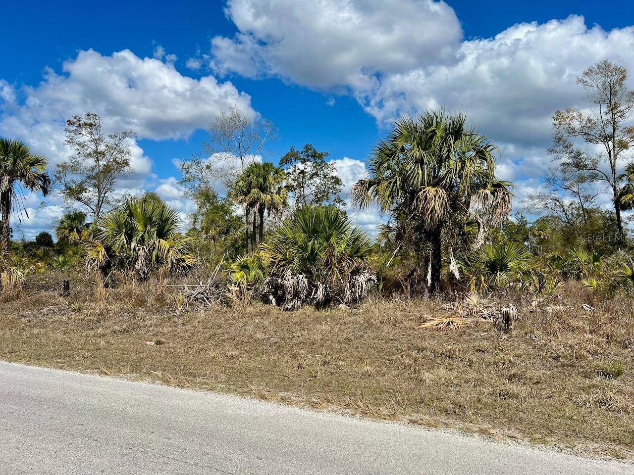 Shiloh Road , Cedar Key, FL 32625 Photo