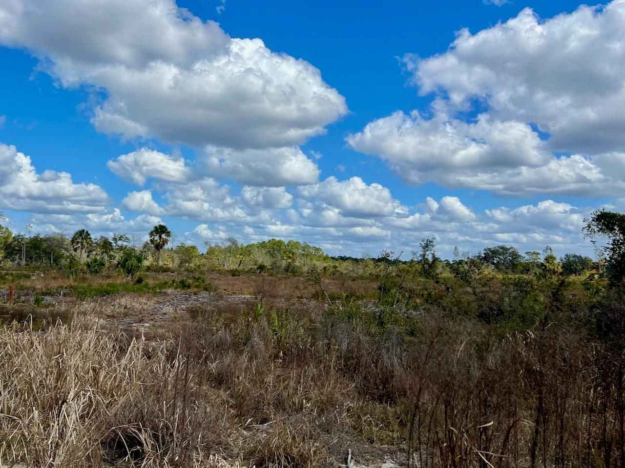 Shiloh Road , Cedar Key, FL 32625 Photo
