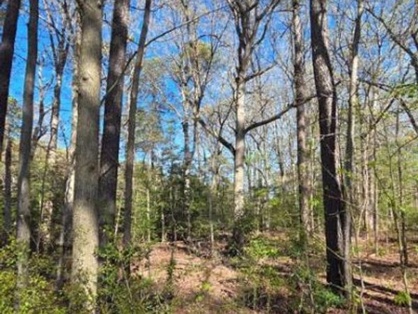 TOUHEY DRIVE, STEVENSVILLE, MD 21666