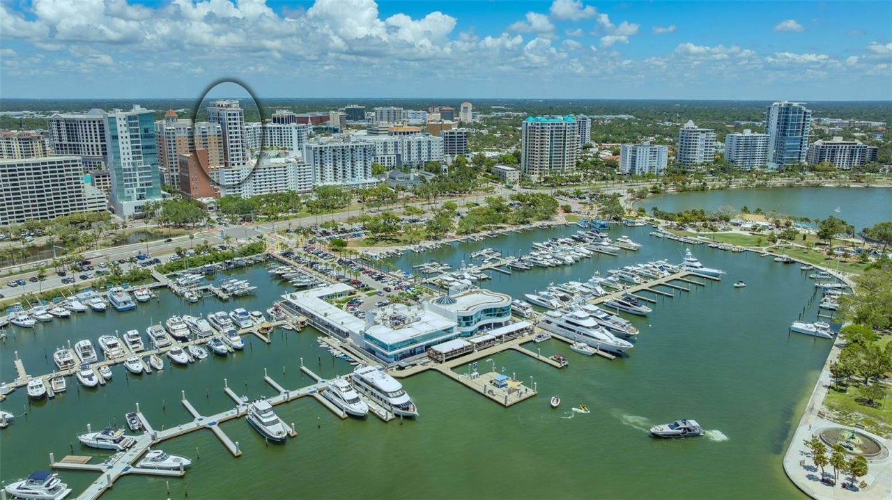 33 S Palm Avenue, Unit 1303, Sarasota, FL 34236 Photo