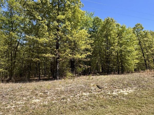 0 Dukes Road, Wadley, GA 30477