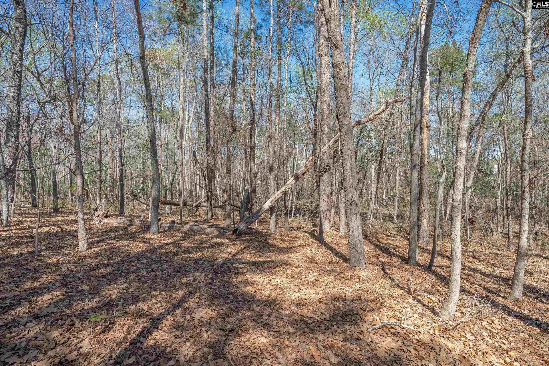 624 Beaver Park Drive  Photo 7