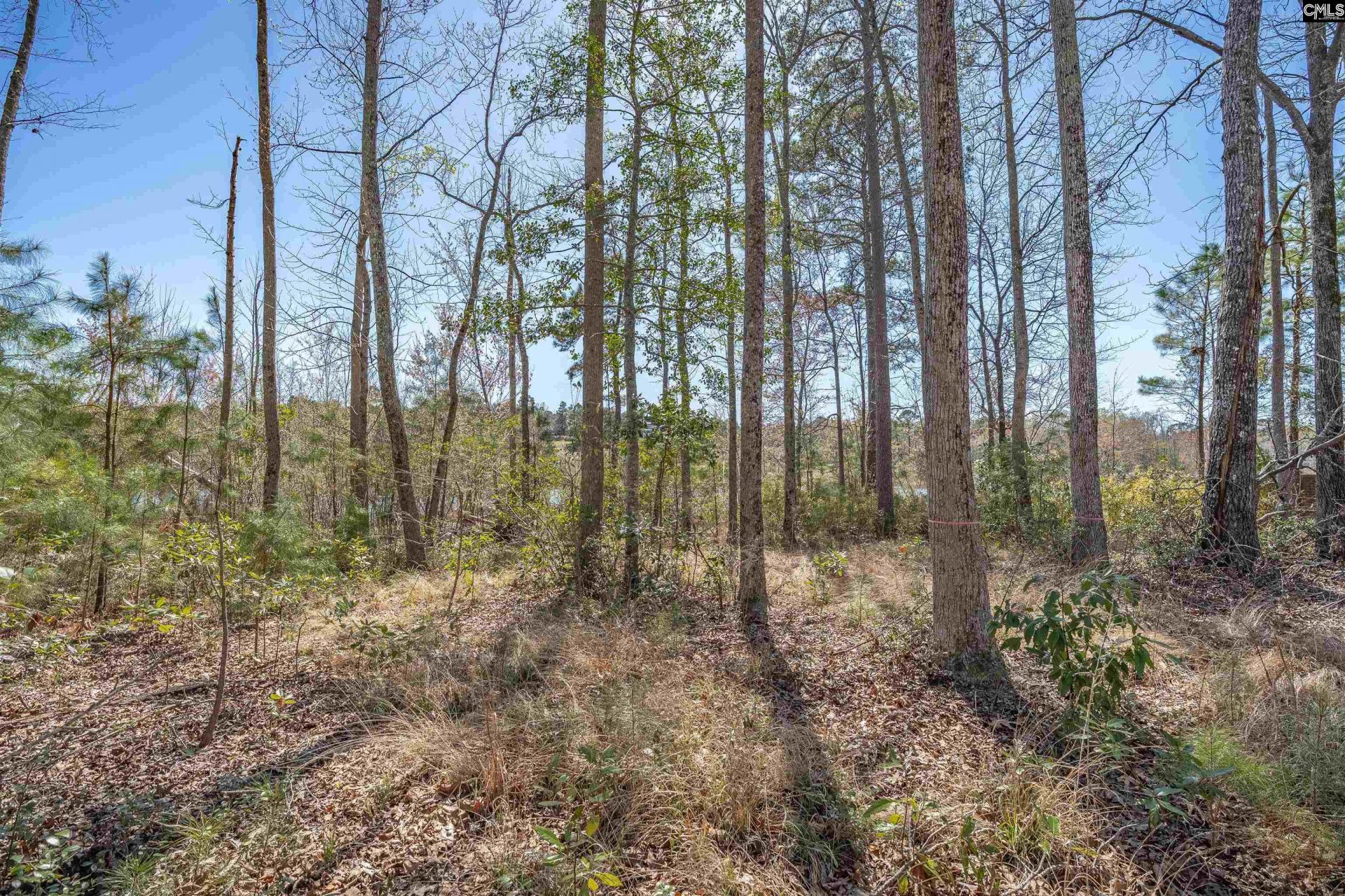 624 Beaver Park Drive  Photo 8