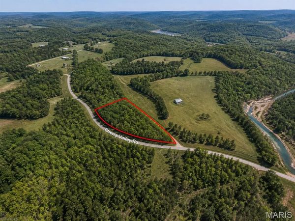 0 Cherry Valley Rd, Steelville, MO 65565