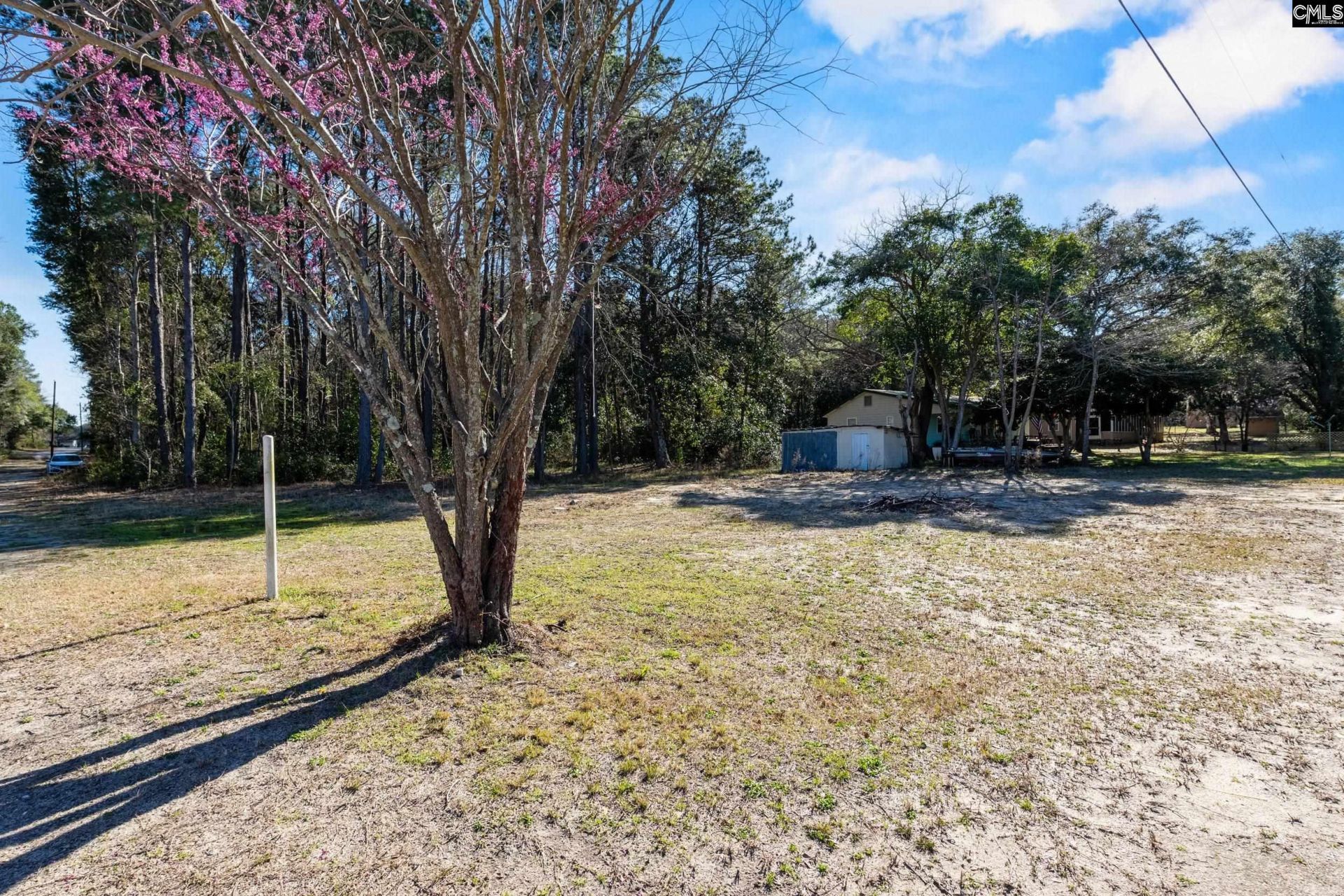 143 Severance Lane  Photo 6