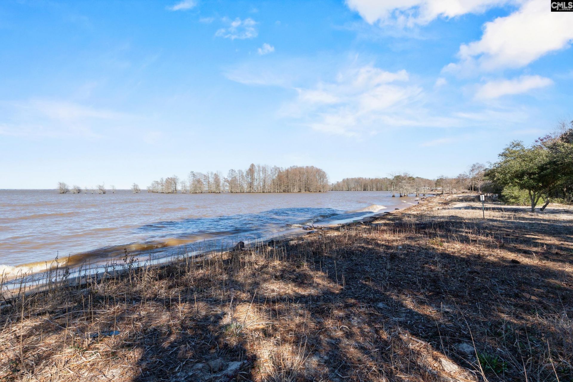 143 Severance Lane  Photo 9