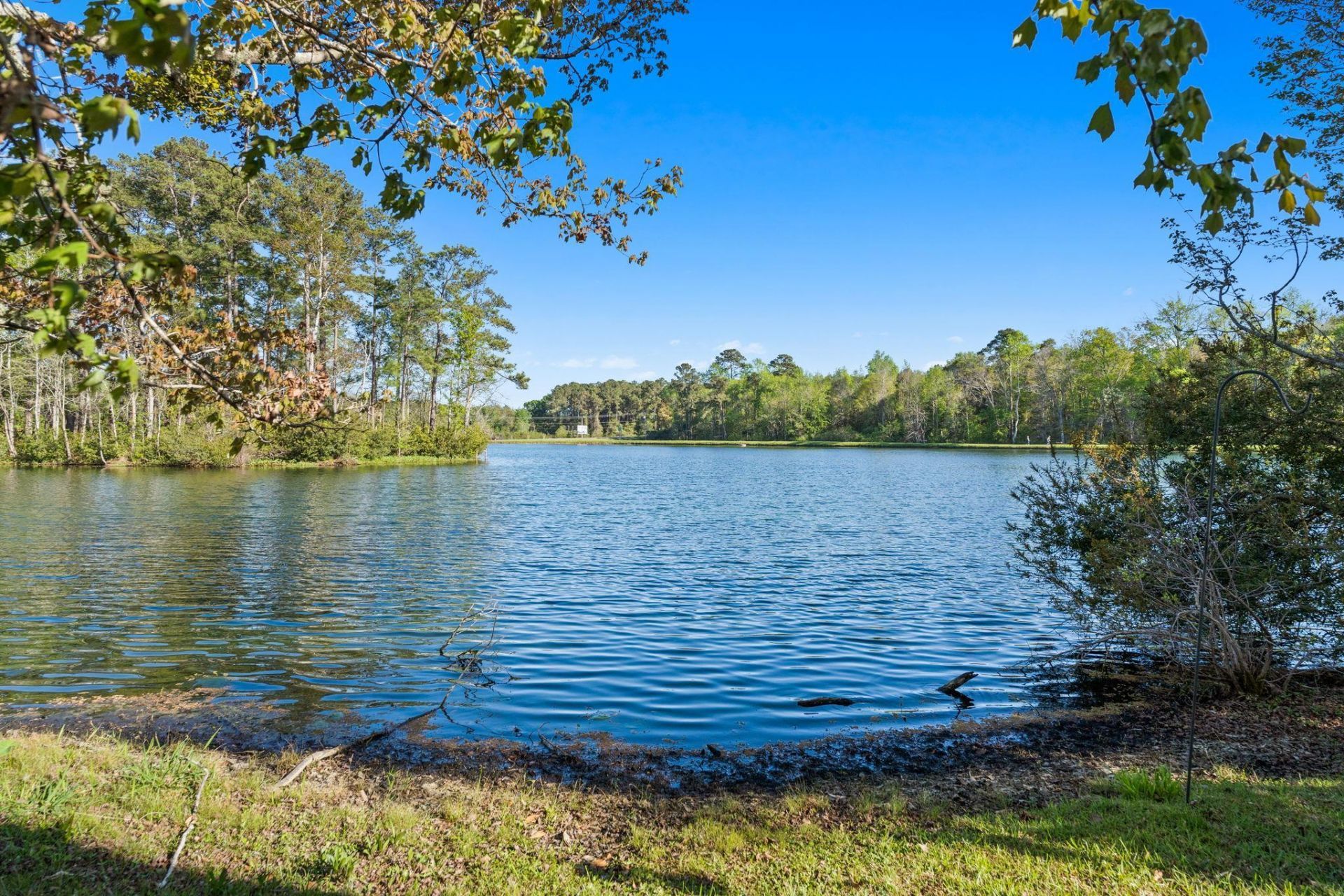 2570 Lake Vista Dr.  Photo 57