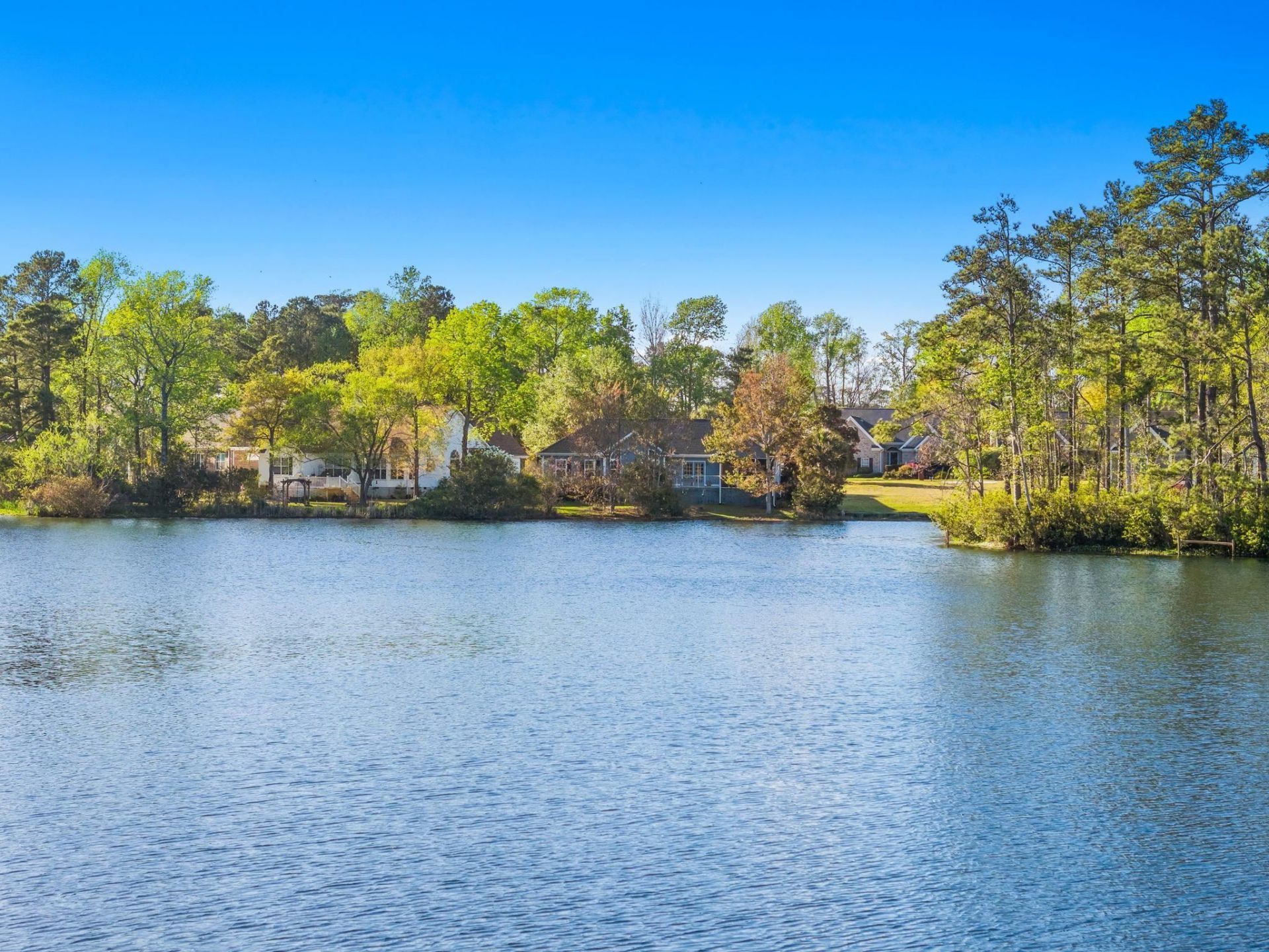 2570 Lake Vista Dr.  Photo 59