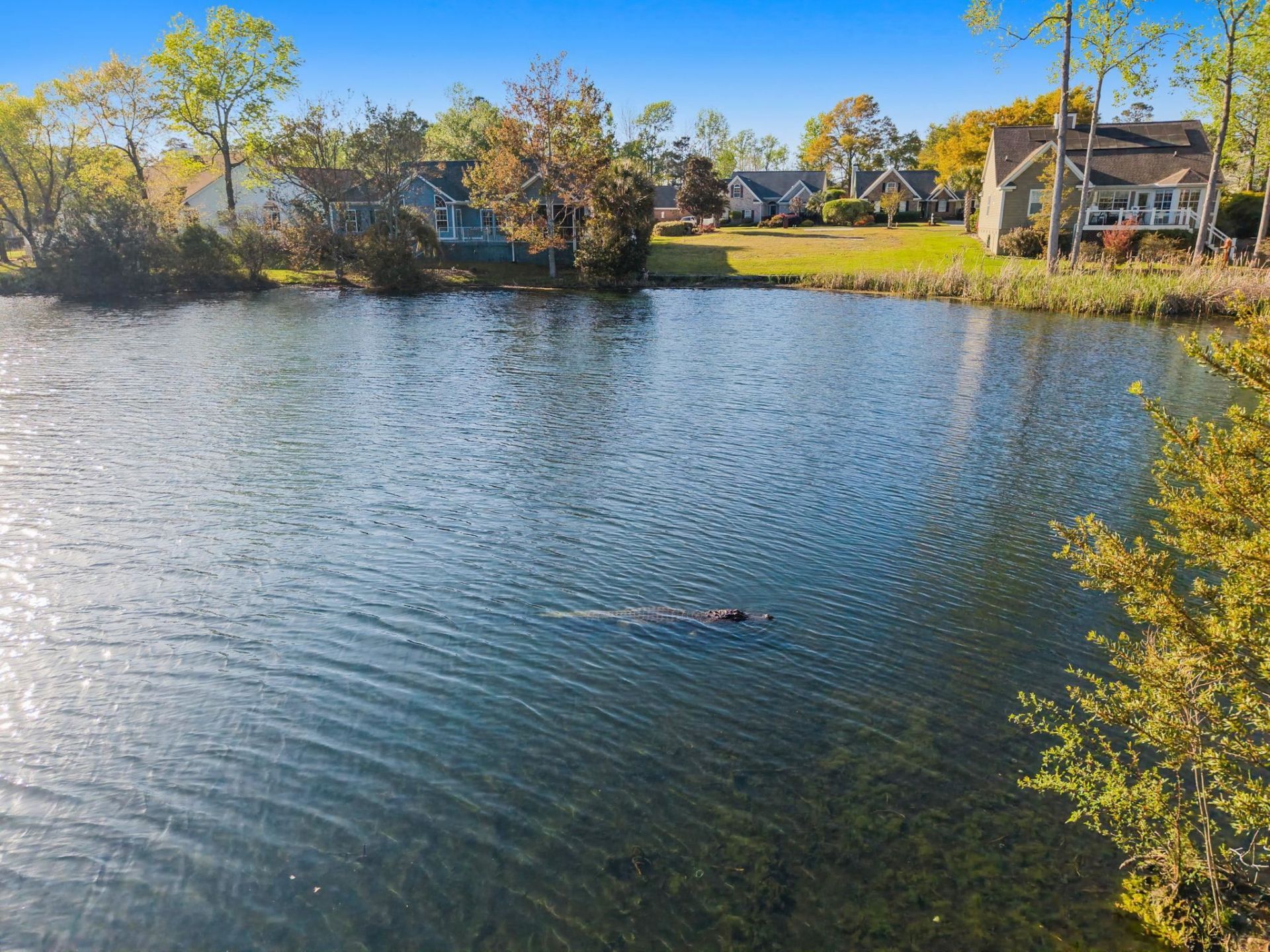 2570 Lake Vista Dr.  Photo 62