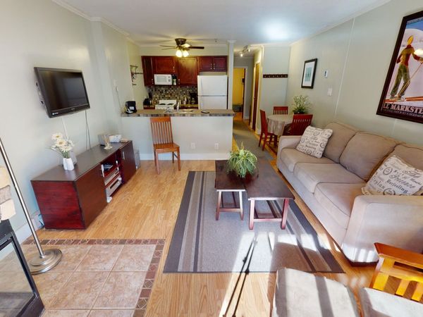 205b Snowcrest, Snowshoe, WV 26209