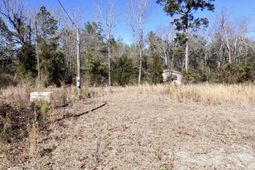 100 Robert James Road photo 4