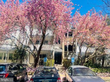 7715 LAFAYETTE FOREST DRIVE, Unit 101, ANNANDALE, VA 22003
