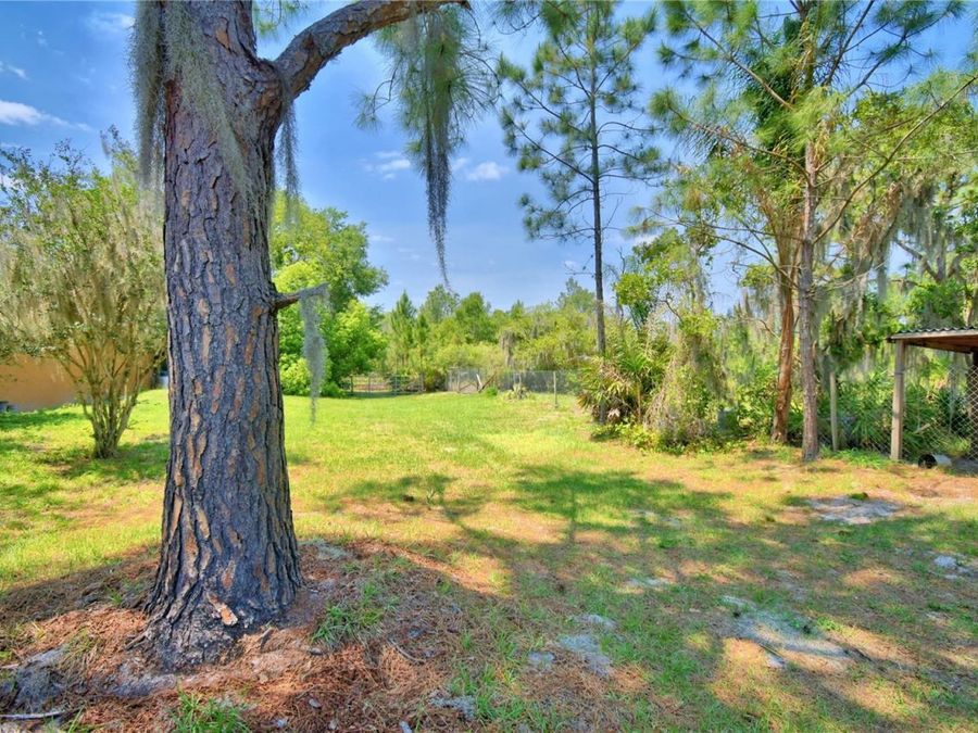Property Image 59