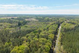 Horatio Haygood Road photo 4