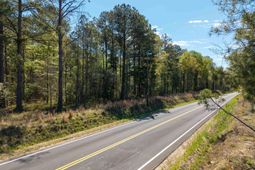 Horatio Haygood Road photo 4