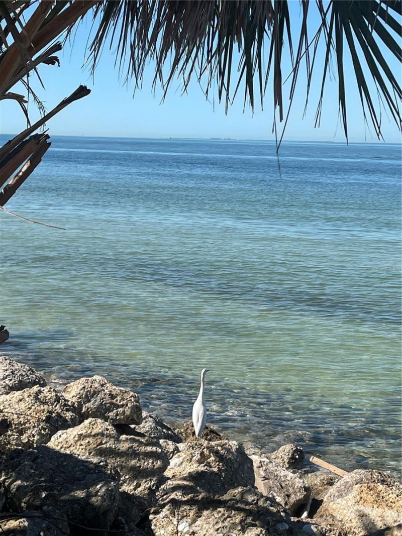 8843 17th Avenue Circle Nw, Bradenton, FL 34209 Photo