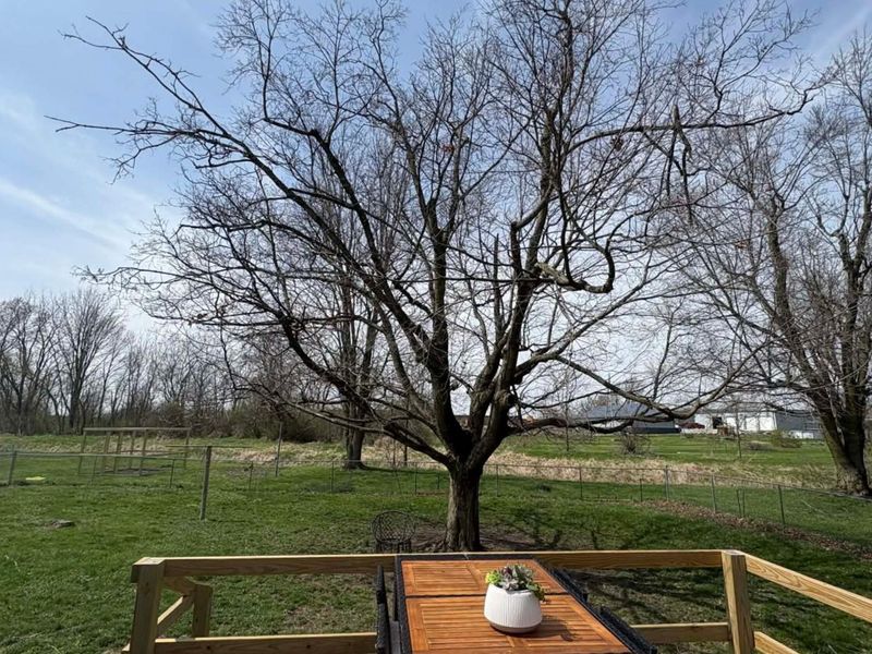 260 S Walnut Street, Harrod, OH 45850 Photo 17