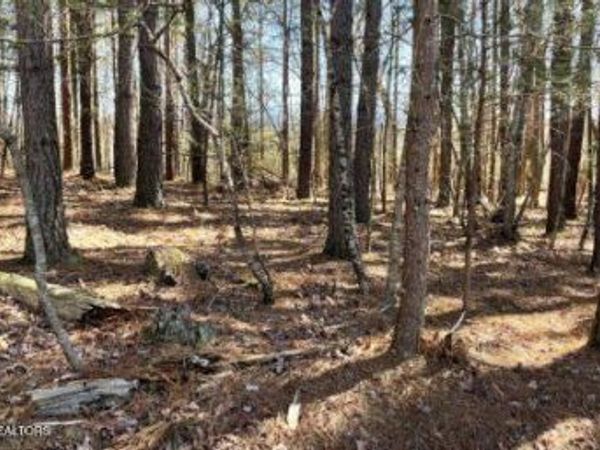 194 Forest Ridge Lane, Greenback, TN 37742