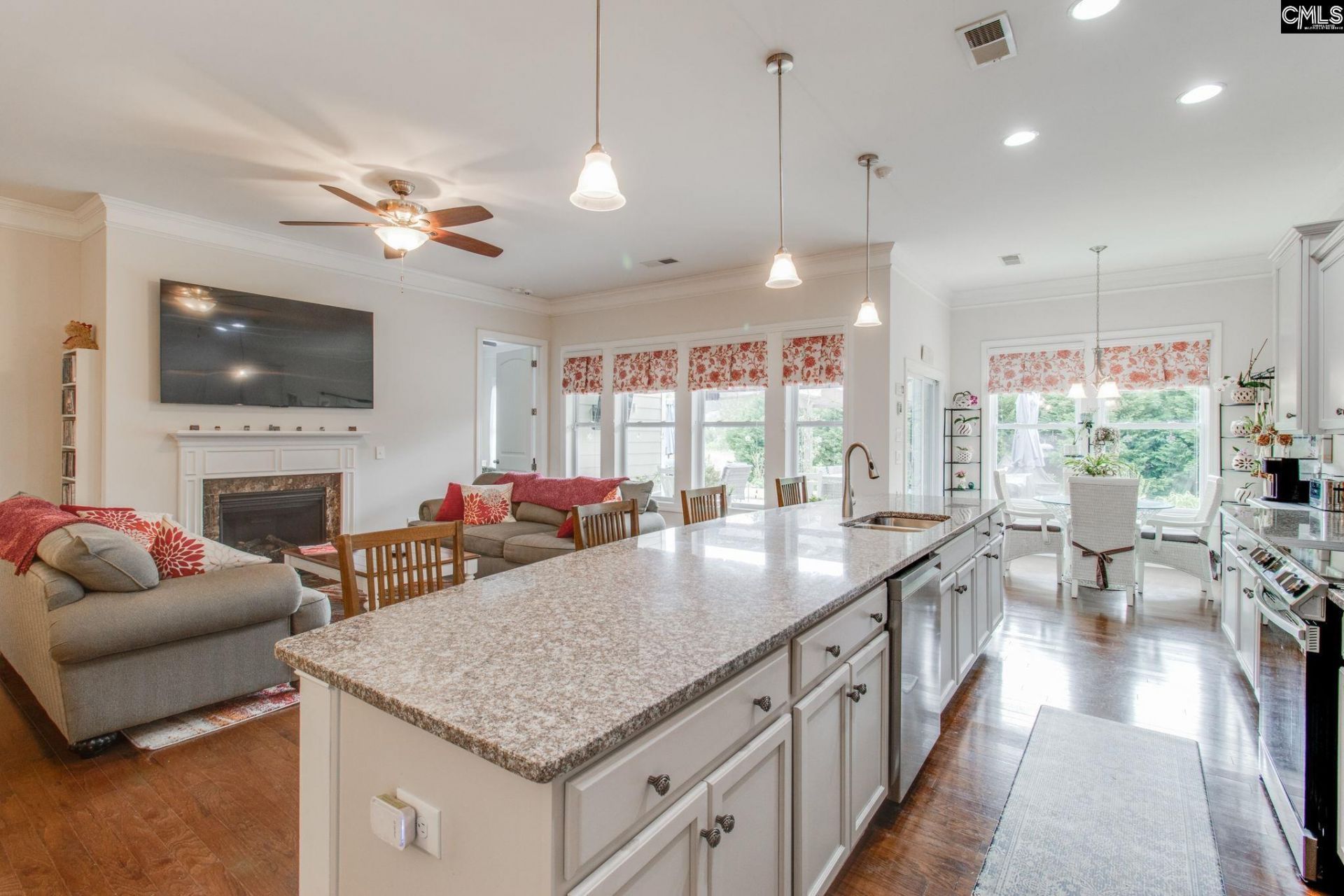 717 Carolina Aster  Photo 14