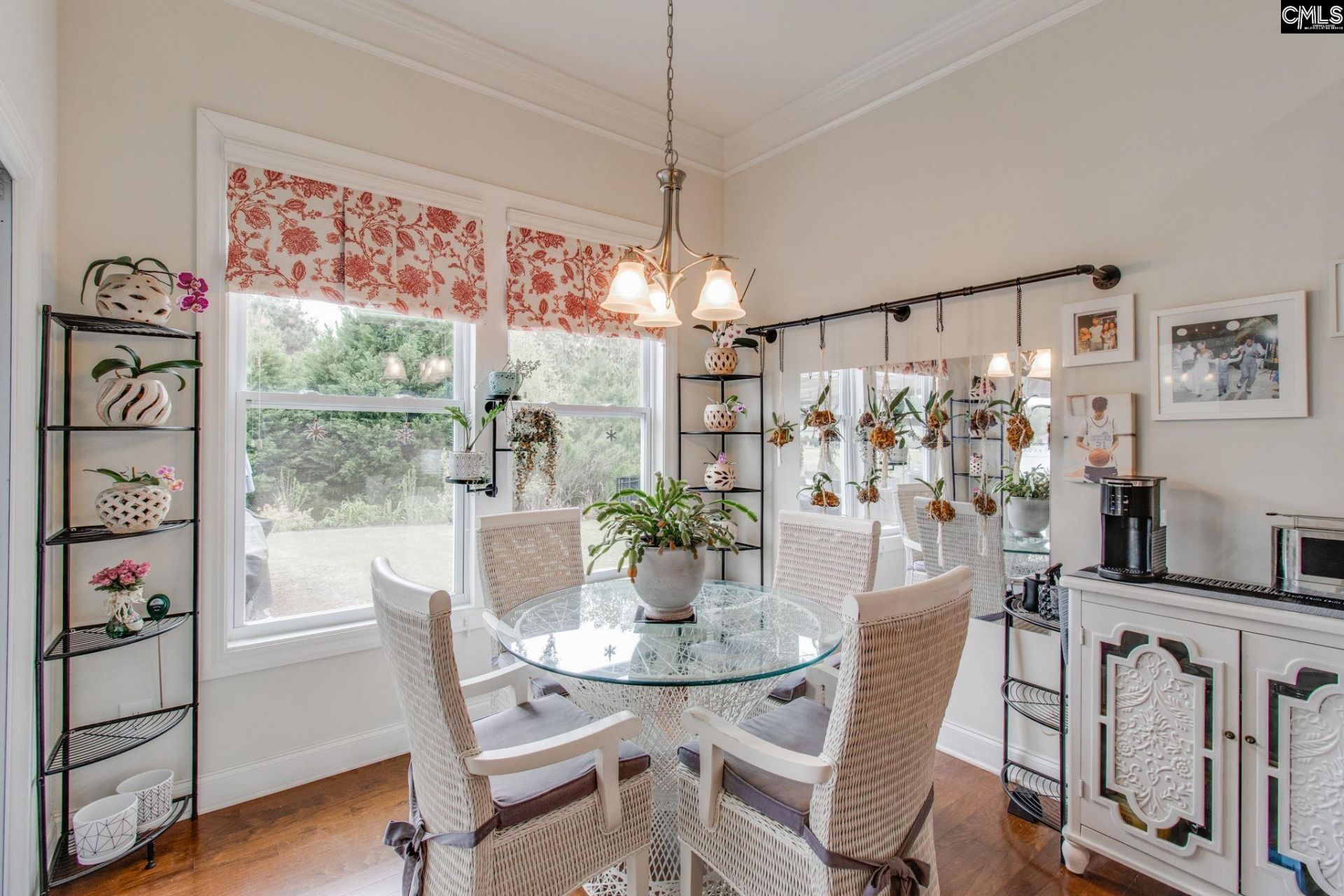 717 Carolina Aster  Photo 15