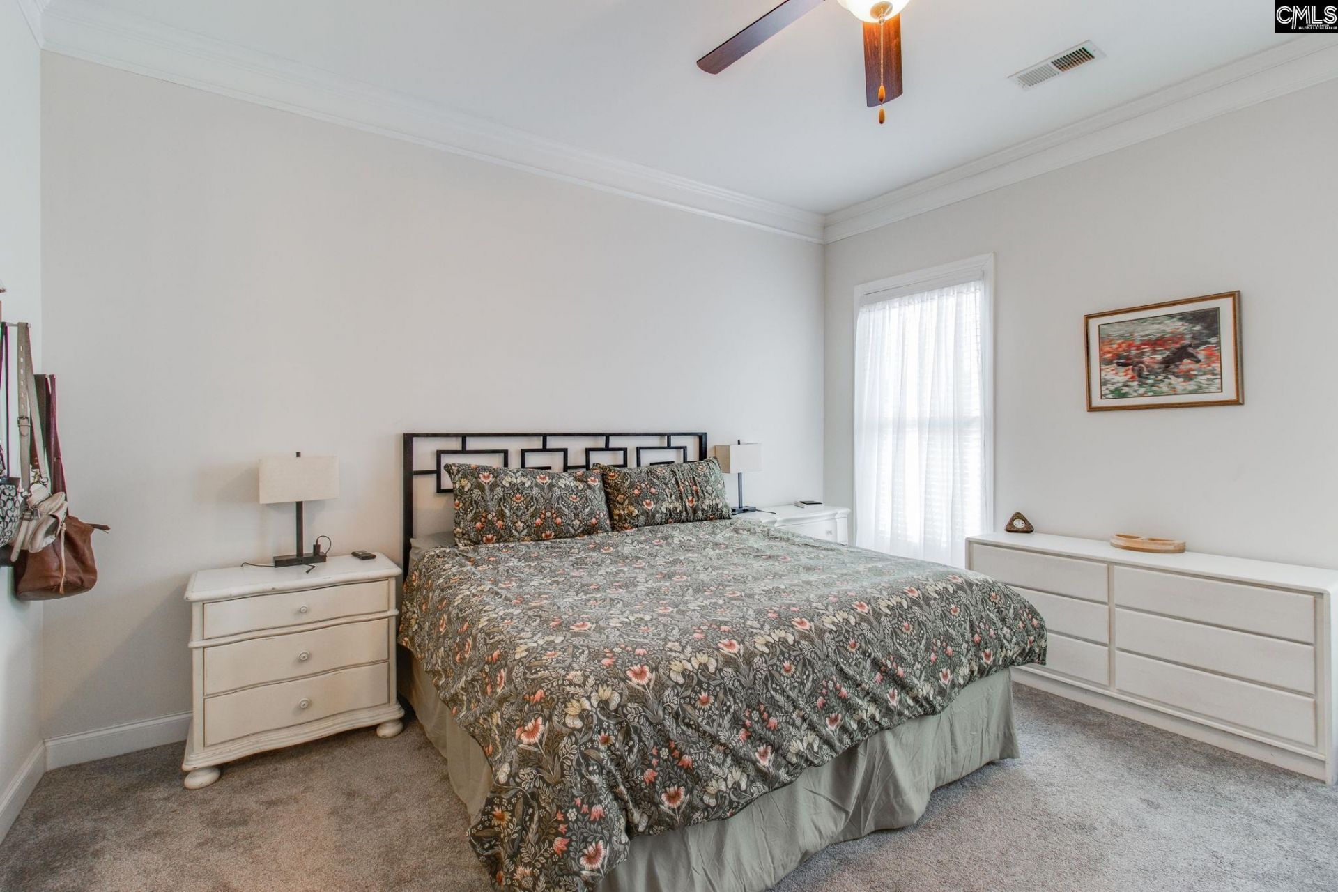 717 Carolina Aster  Photo 16