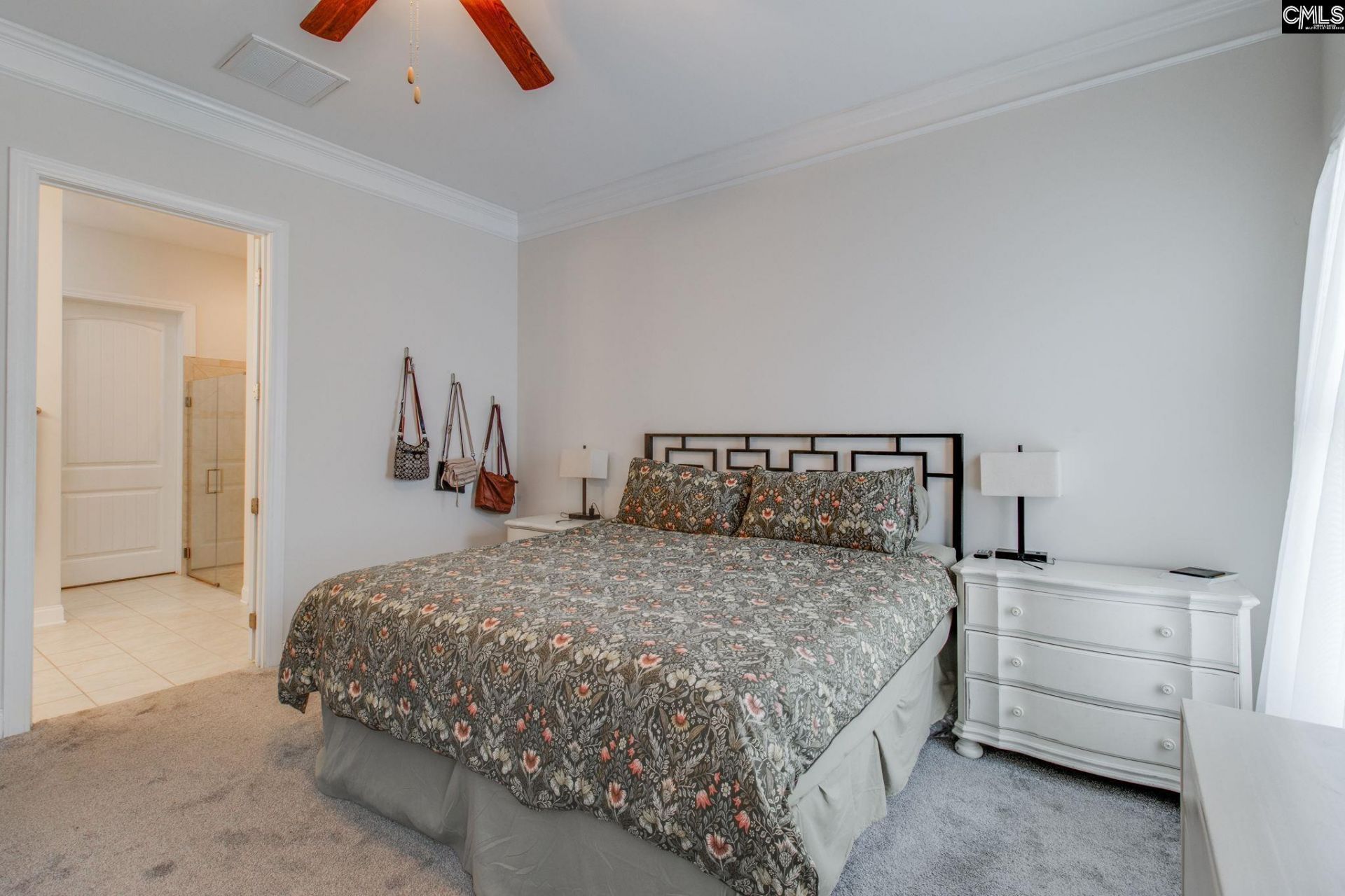 717 Carolina Aster  Photo 17