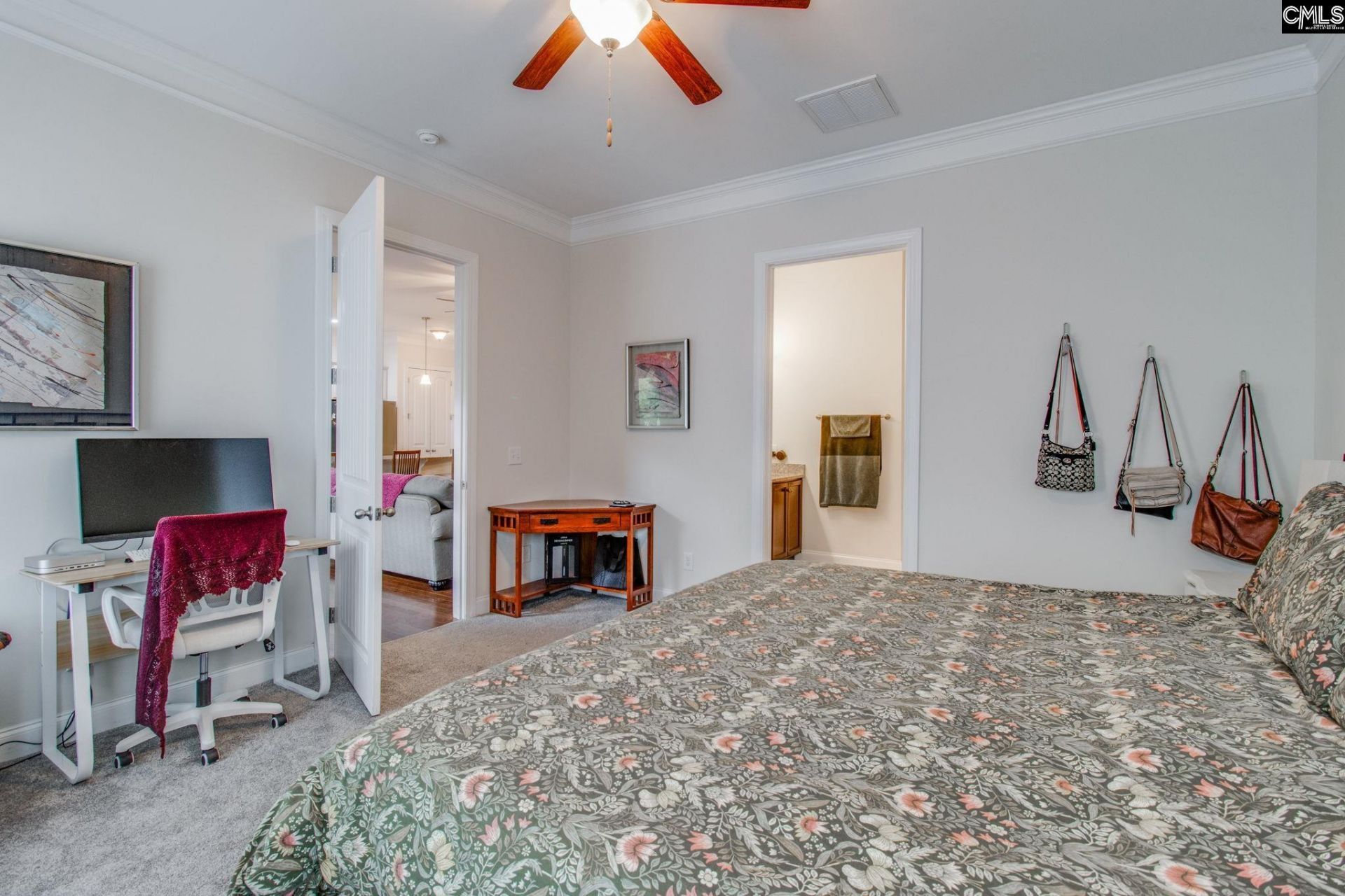 717 Carolina Aster  Photo 18