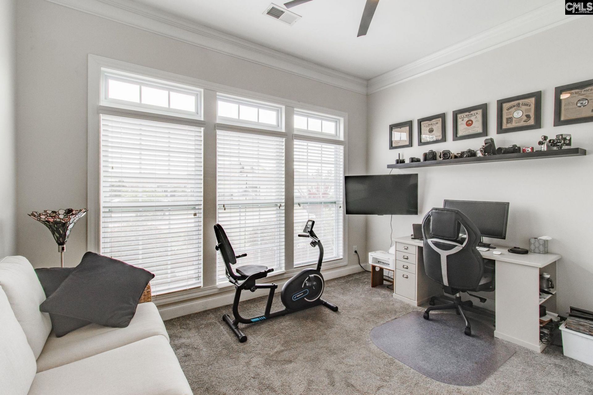 717 Carolina Aster  Photo 22