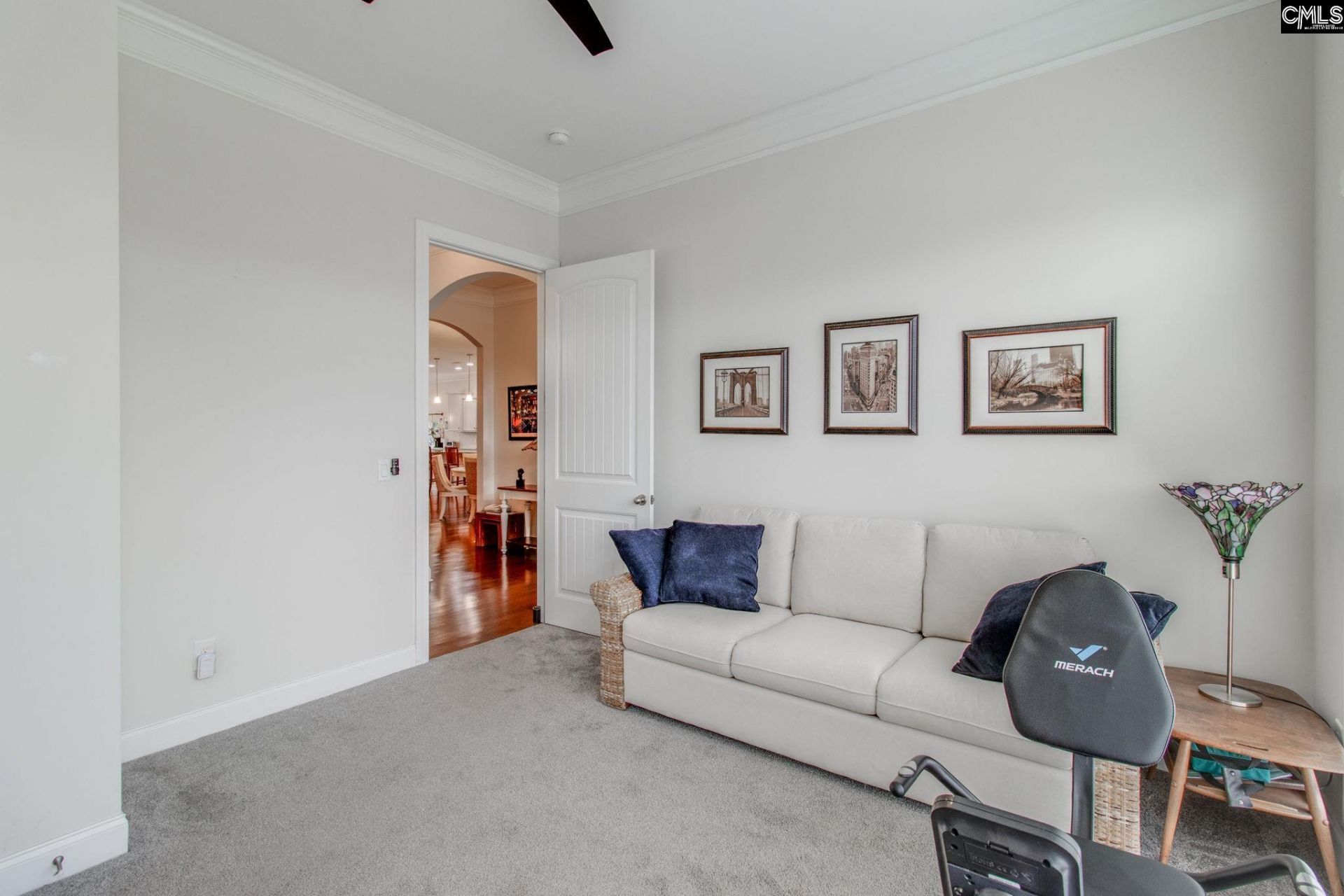 717 Carolina Aster  Photo 23