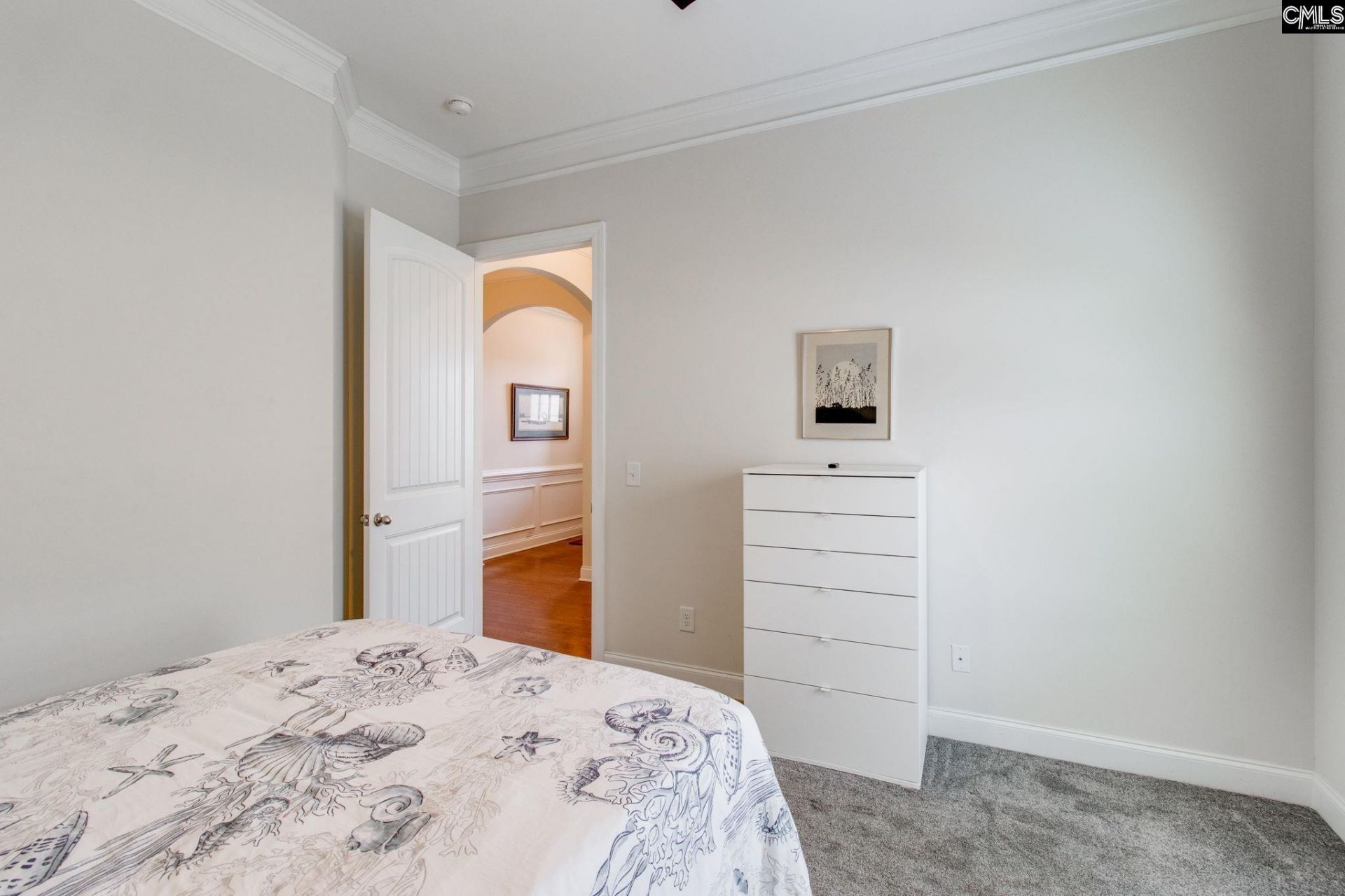 717 Carolina Aster  Photo 25