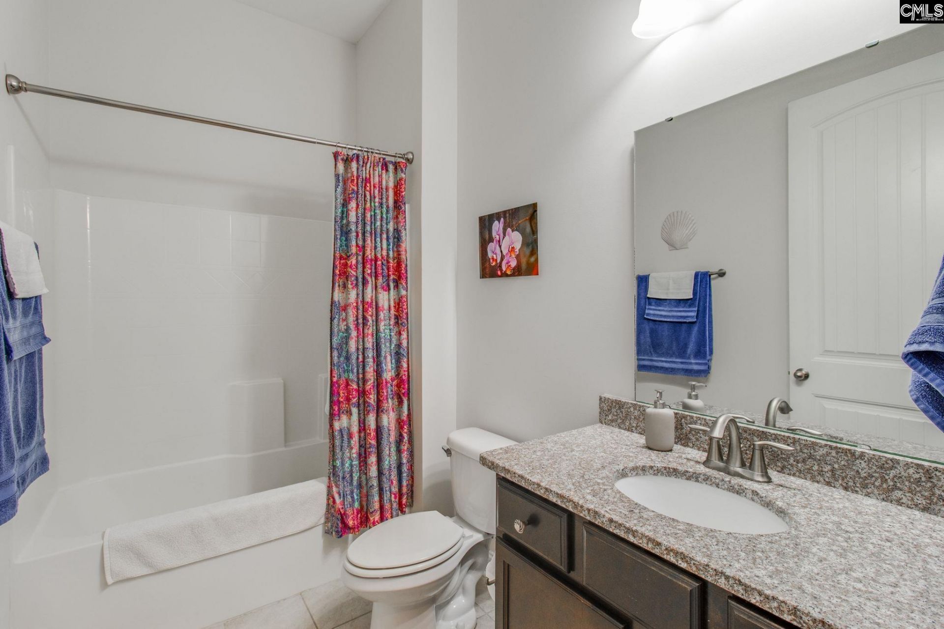 717 Carolina Aster  Photo 26