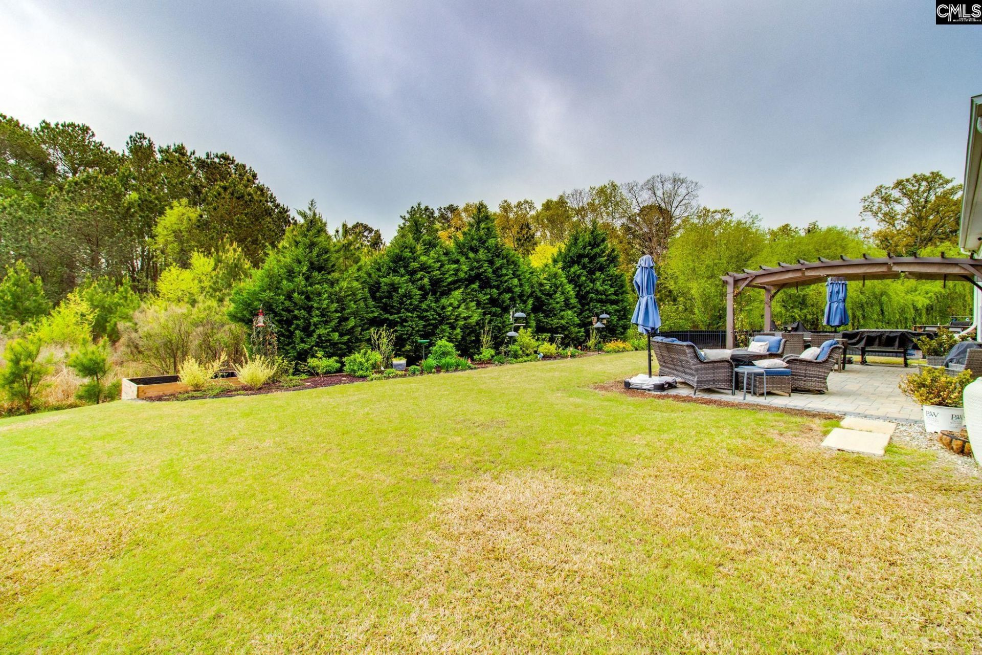 717 Carolina Aster  Photo 31