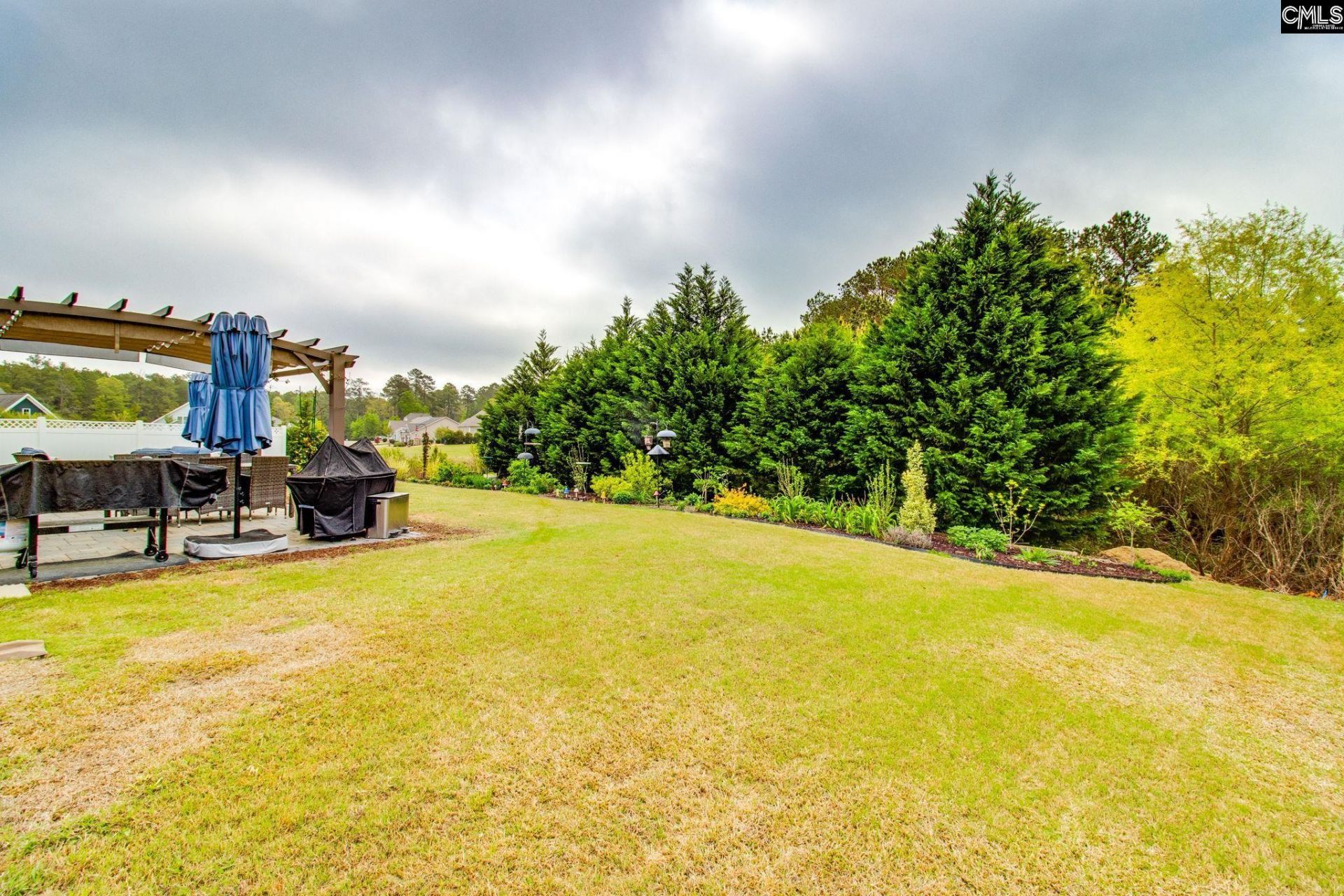 717 Carolina Aster  Photo 32