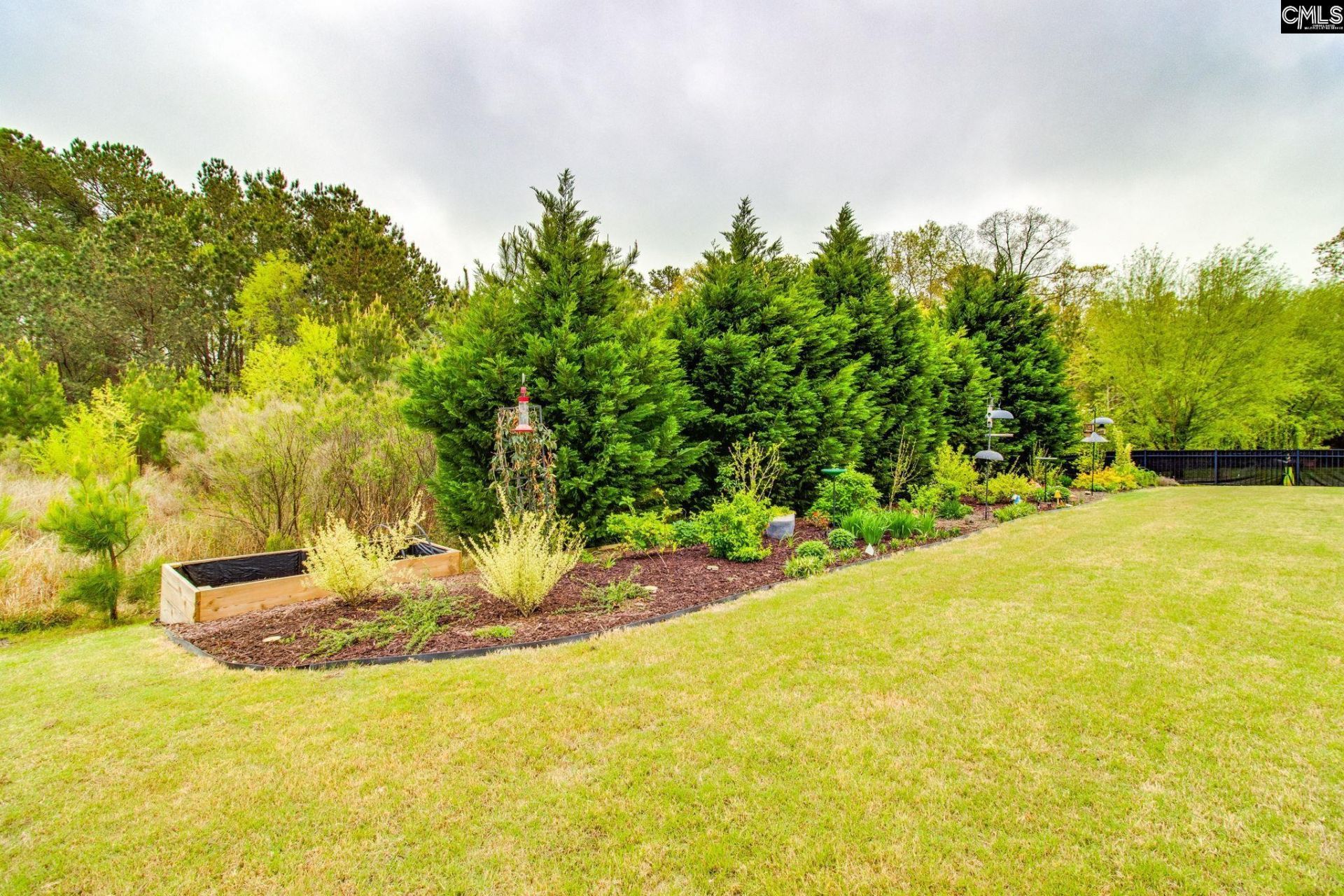 717 Carolina Aster  Photo 33